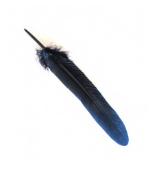 Plume d'oie 15cm - marine