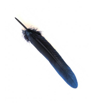 Plume d'oie 15cm - marine