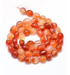 Perles semi-précieuses Agate rouge (10pcs)