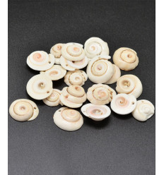 Pendentif coquillage