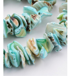 Chapelet coquillage chips 