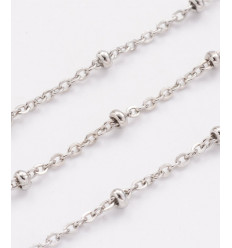 Chaine inoxydable (10cm)