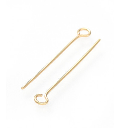 Clou inoxydable tête ronde 45mm (10pcs)