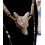Pendentif tête de loup en pierre