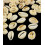 Gros cauri coupé (20pcs)
