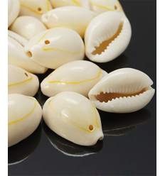 Gros cauri percé (20pcs)