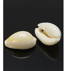 Gros cauri percé (20pcs)