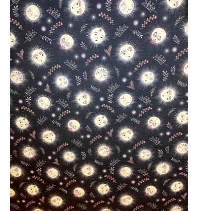 Tissu Dashwood "Nightfall" by Sarah Knight