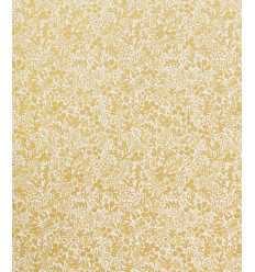 Tissu Rifle Paper "Basics"