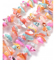 coquillage teinté pastel - Chapelet coquillage chips