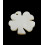Pendentif trèfle en nacre (1pc)