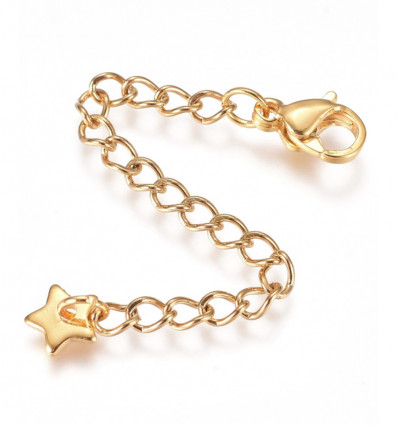 50pcs - Fermoir + chaine de rallonge et breloque étoile acier inoxydable