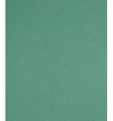 Sweat molleton lourd - DARK MINT