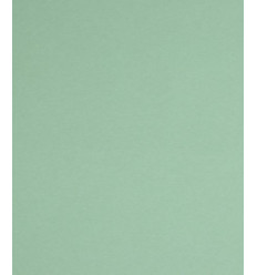 Sweat molleton lourd - MINT