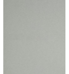 Sweat molleton lourd - LIGHT GREY