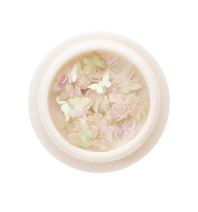 Petit papillons paillettes