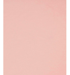 Jersey de coton nude