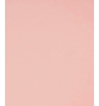 Jersey de coton nude