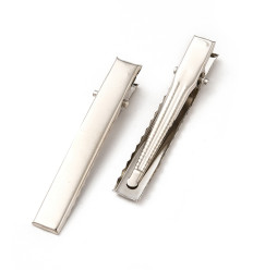 Barrette pour cheveux