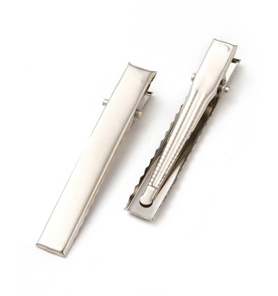 Barrette pour cheveux