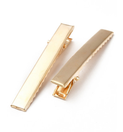 Barrette pour cheveux