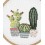 Kit broderie - cactus