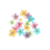 Incrustation petites fleurs séchées (15pcs)