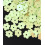 6mm - Sequins fleurs plates à broder