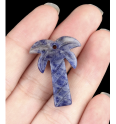 Sodalite - Palmier en pierre