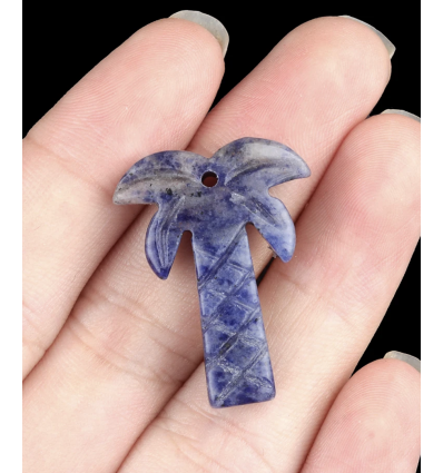 Sodalite - Palmier en pierre