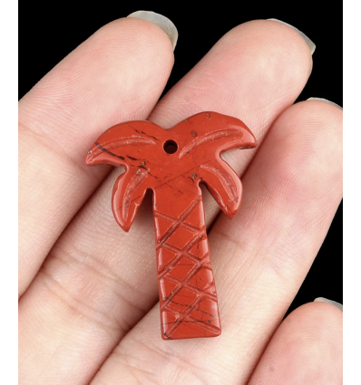 Jaspe - Palmier en pierre