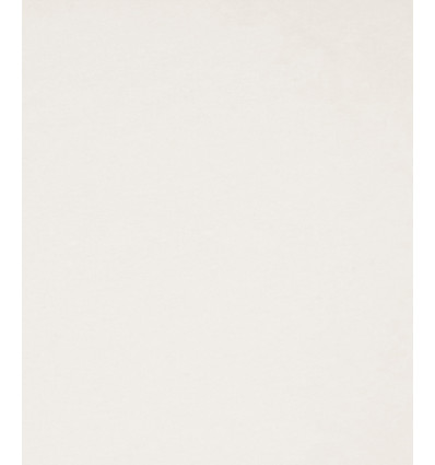 Jersey de coton écru