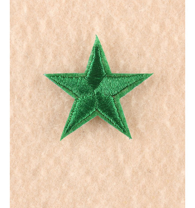 Ecusson étoile gris foncé