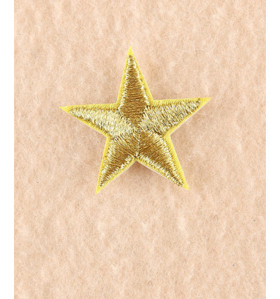 Ecusson étoile blanc