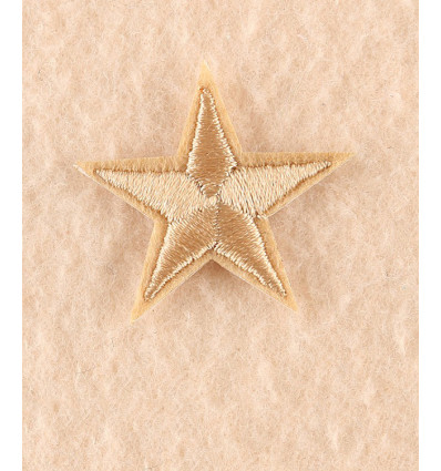 Ecusson étoile bleu turquoise