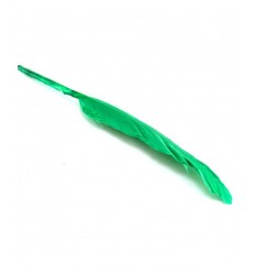 Plume d'oie 15cm