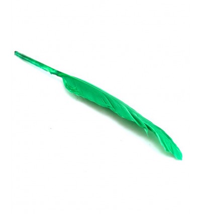Plume d'oie 15cm