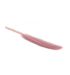Plume d'oie 15cm