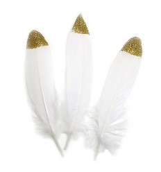 Plume d'oie 15/20cm - paillettes dorées