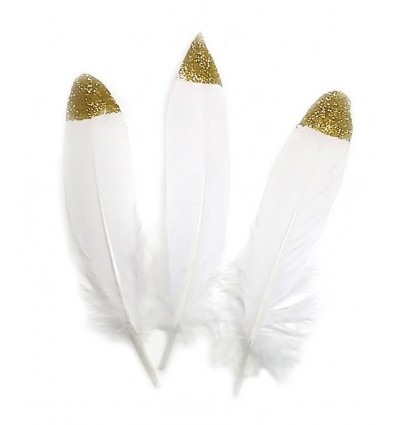 Plume d'oie 15/20cm - paillettes dorées