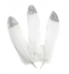 Plume d'oie 15/20cm - paillettes argentées